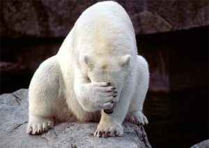 main-qimg-6dfa93d5b5f0fdedcb1b481b055cddba-c